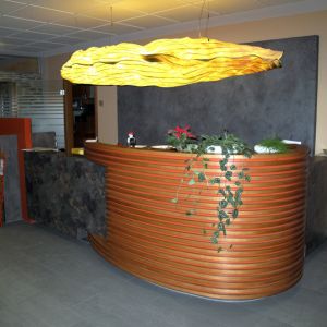 RECEPTION OF BUSINESS – HANGING LIGHT NUAGE IRRÉGULIER